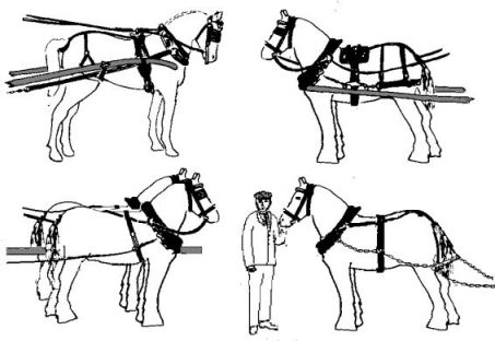 Horse harnesses