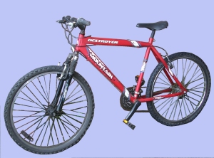 Moutain Bike from 2000