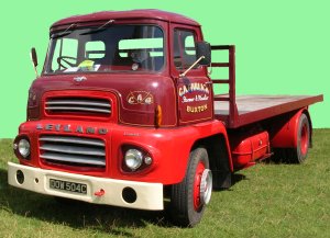 1965 Leyland lorry, photographed at a show in 2007