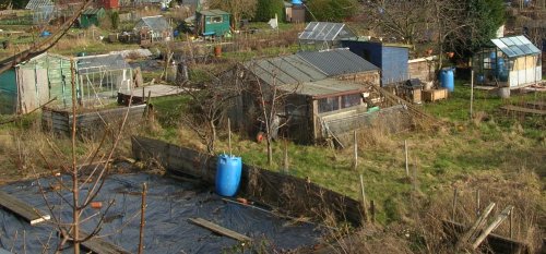 Typical allotments