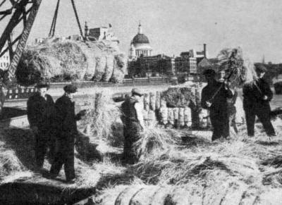 Bales of esparto grass being handled in the 1930s
