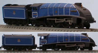 Model of the Mallard