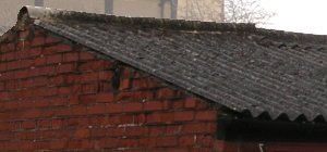 Photo of asbestos roofing on small industrial structure